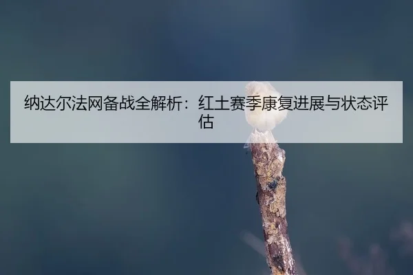 na-da-er-fa-wang-bei-zhan-quan-jie-xi-hong-tu-sai-ji-kang-fu-jin-zhan-yu-zhuang-tai-ping-gu-2-304.jpg