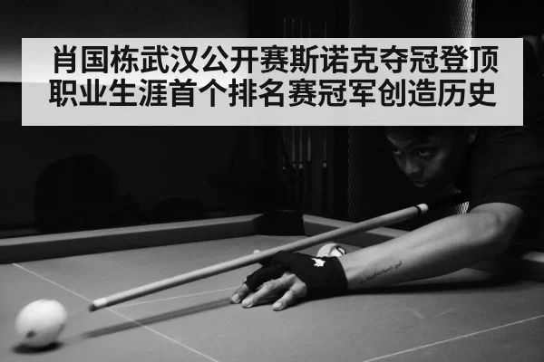 snooker match Wuhan arena