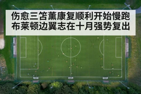 伤愈三笘薰康复顺利开始慢跑 布莱顿边翼志在十月强势复出