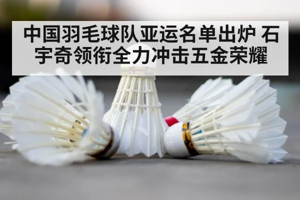 badminton shuttlecock court