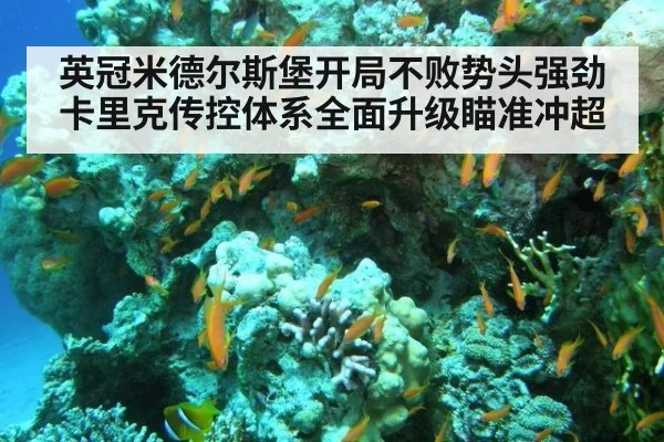 英冠米德尔斯堡开局不败势头强劲 卡里克传控体系全面升级瞄准冲超